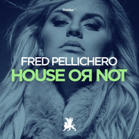 Fred Pellichero - House or Not
