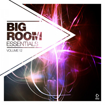 Various Artists - Big Room Essentials, Vol. 12