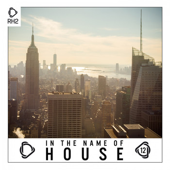 Various Artists - In the Name of House, Vol. 12