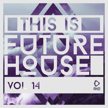 Various Artists - This Is Future House, Vol. 14