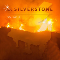 D. Silverstone - D. Silverstone, Vol. 10