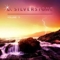 D. Silverstone - D. Silverstone, Vol. 13
