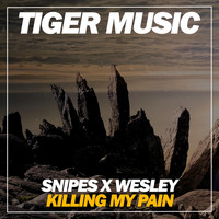 Snipes X Wesley - Killing My Pain