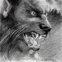 Ads - Nights Wolf