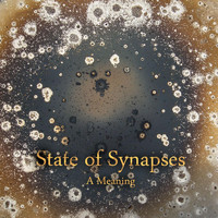 State of Synapses - A Meaning