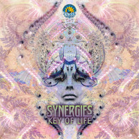 Synergies - Key of Life