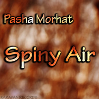 Pasha Morhat - Spiny Air
