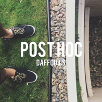 Post Hoc - Daffodils