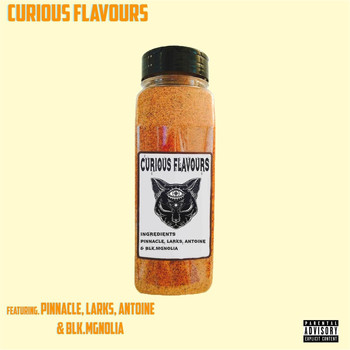 Various Artists - Curious Flavours (Explicit)