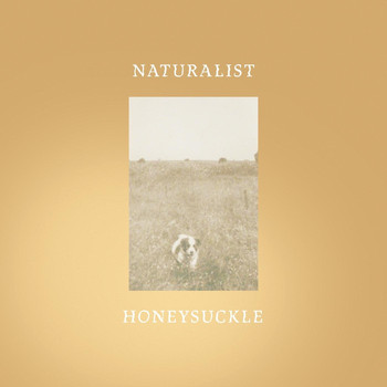 Naturalist - Honeysuckle