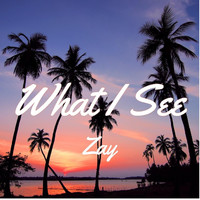 Zay - What I See (Explicit)