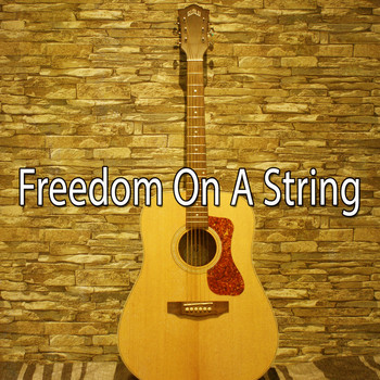 Instrumental - Freedom on a String