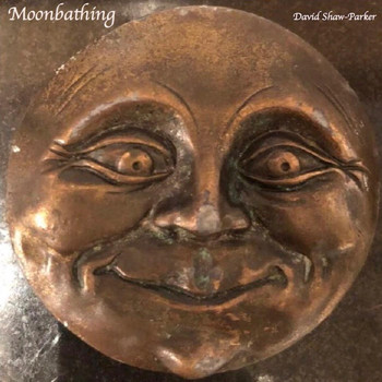 David Shaw-Parker - Moonbathing