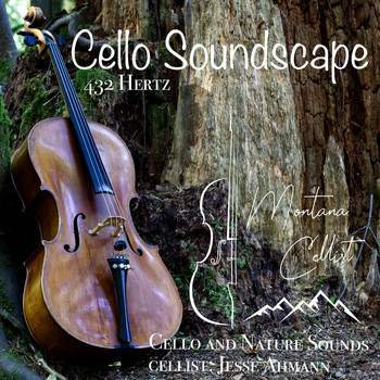 Jesse Ahmann - Cello Soundscape