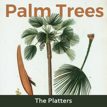 The Platters - Palm Trees
