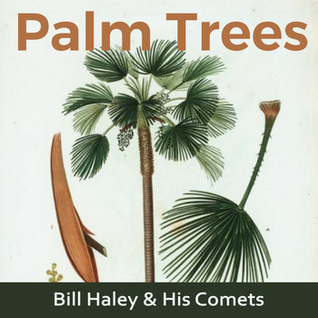 Bill Haley & His Comets - Palm Trees