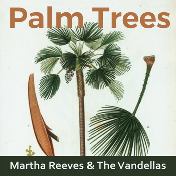 Martha Reeves & The Vandellas - Palm Trees