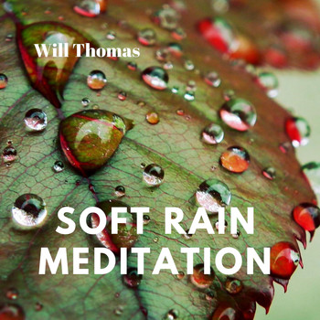 Will Thomas - Soft Rain Meditation