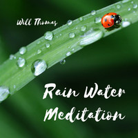 Will Thomas - Rain Water Meditation