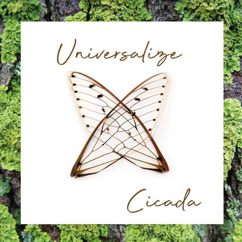 Universalize - Cicada