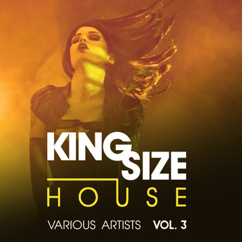 Various Artists - King Size House, Vol. 3