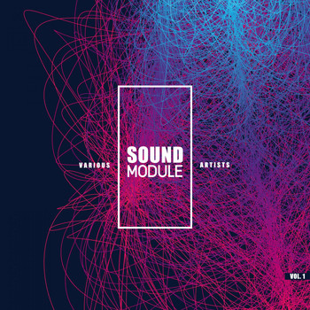 Various Artists - Sound Module, Vol. 1