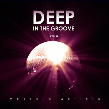 Various Artists - Deep in the Groove, Vol. 3