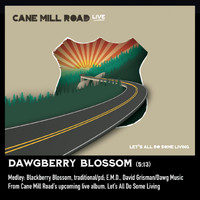 Cane Mill Road - Dawgberry Blossom Medley: Blackberry Blossom / E.M.D. (Live)