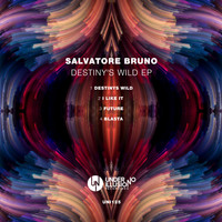 Salvatore Bruno - Destiny's Wild EP