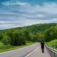 Pollen - In Transition