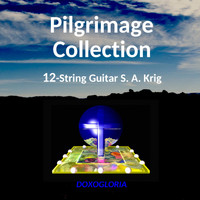 S. A. Krig - Pilgrimage Collection 12 String Guitar