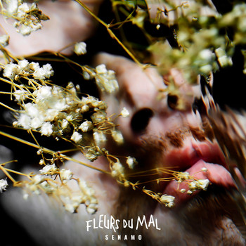 Senamo - Fleurs du mal (Explicit)