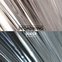 Broadwing - Wasp