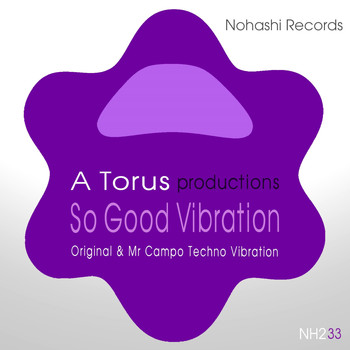 Toru S. - So Good Vibration