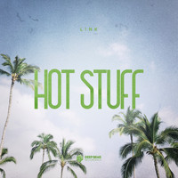 L!nk - Hot Stuff