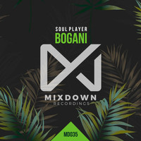 Soul Player - Bogani