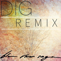 Blue River Saga - Dig (Remix)