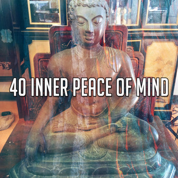 Forest Sounds - 40 Inner Peace of Mind