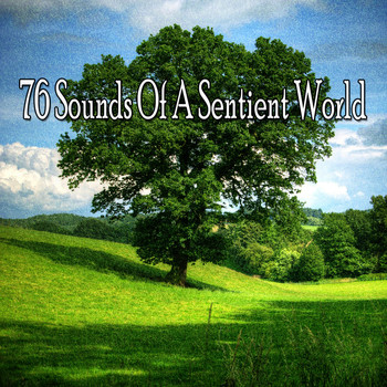 Classical Study Music - 76 Sounds of a Sentient World