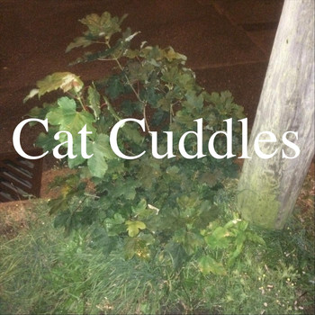 Alright, Ok - Cat Cuddles