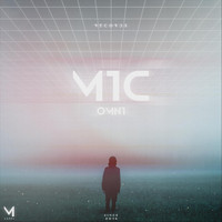 MIC - Omni