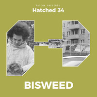Bisweed - Hatched 34