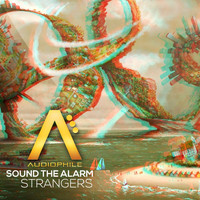 Strangers - Sound The Alarm