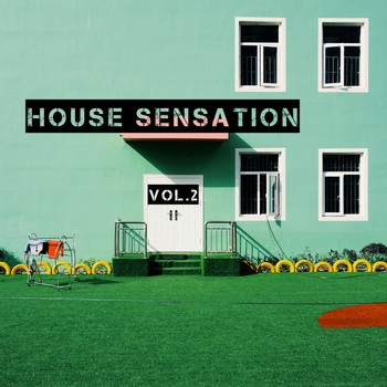 Various Artists - House Sensation Vol 2