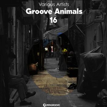 Various Artists - Groove Animals 16