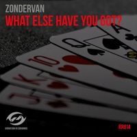 Zondervan - What Else Have You Got (Explicit)