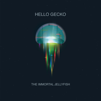 Hello Gecko - The Immortal Jellyfish