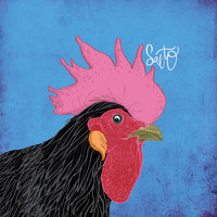 Salto - Salto
