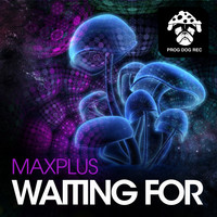 Maxplus - Waiting For