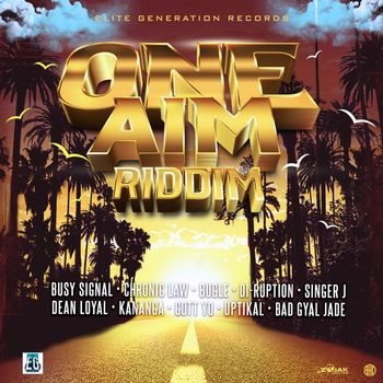 Various Artists - One Aim Riddim